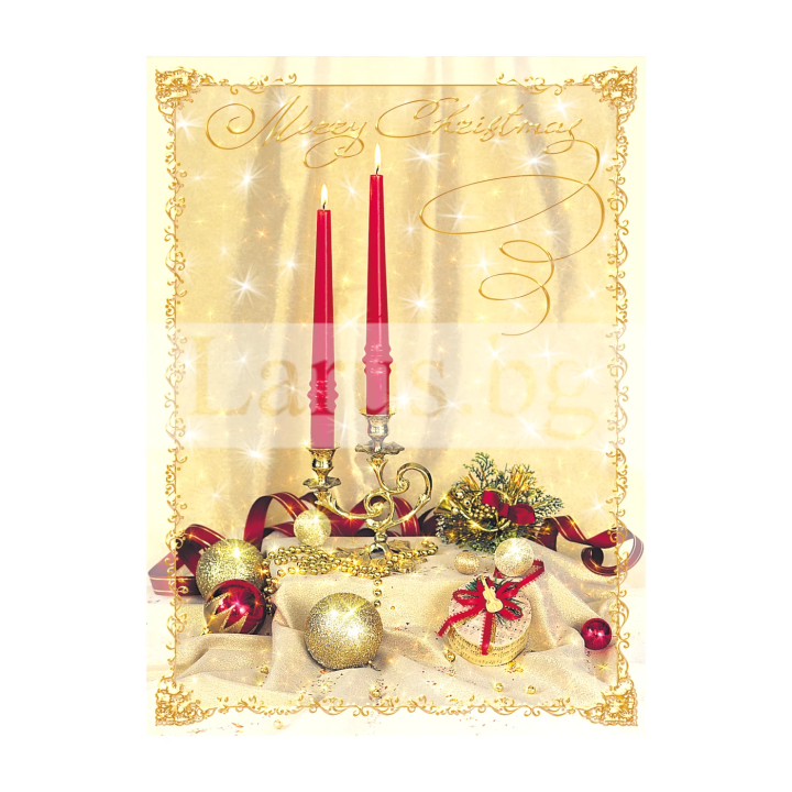 Зимна двойна картичка 0009 1-ZD-0009