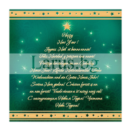 Зимна двойна картичка 0480 1-ZD-0480