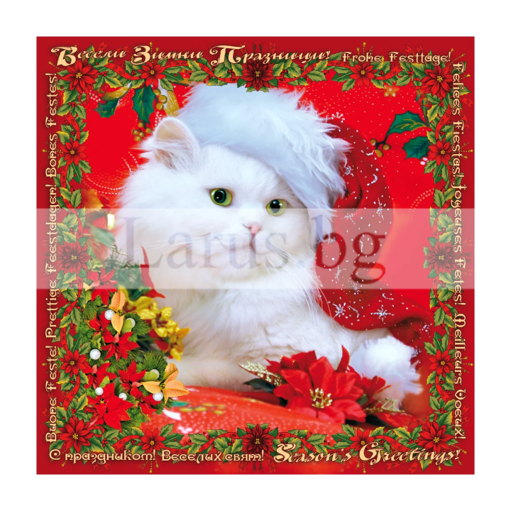 Зимна двойна картичка 0659 1-ZD-0659