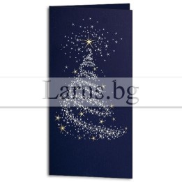 Зимна двойна картичка 0981 1-ZD-0981