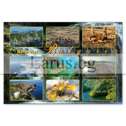 Пощенска картичка България 1-BG-0145