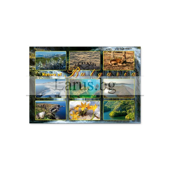 Пощенска картичка България 1-BG-0145