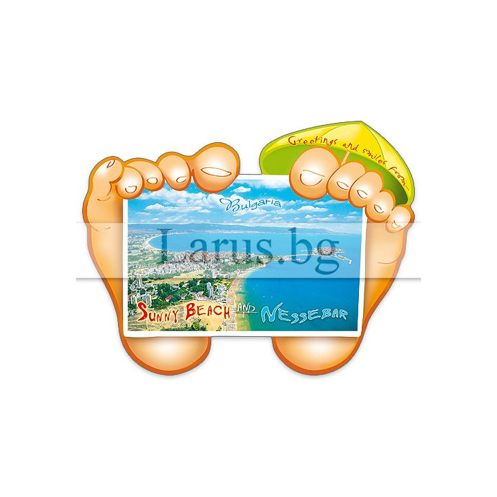 Пощенска картичка България 1-BG-0045