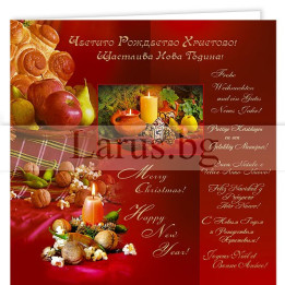 Зимна двойна картичка 0429 1-ZD-0429