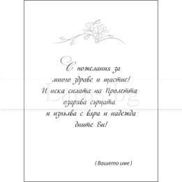 Примерно вътрешно оформление 0042 (стойността се уточнява по телефона) VO 0042