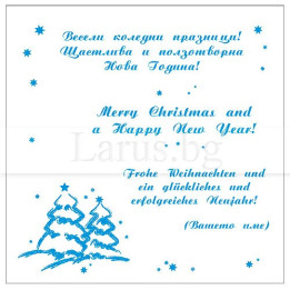 Примерно новогодишно вътрешно оформление 06 (стойността се уточнява по телефона) VO 06