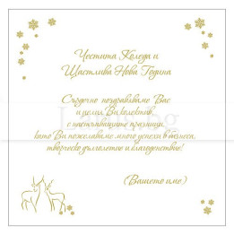 Примерно новогодишно вътрешно оформление 51 (стойността се уточнява по телефона) VO 51